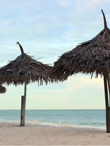 Estate Planning and Execution