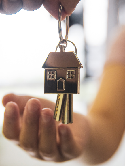 Real Estate and Property