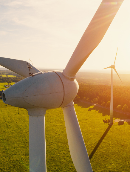 Renewable Energy and Carbon Credits