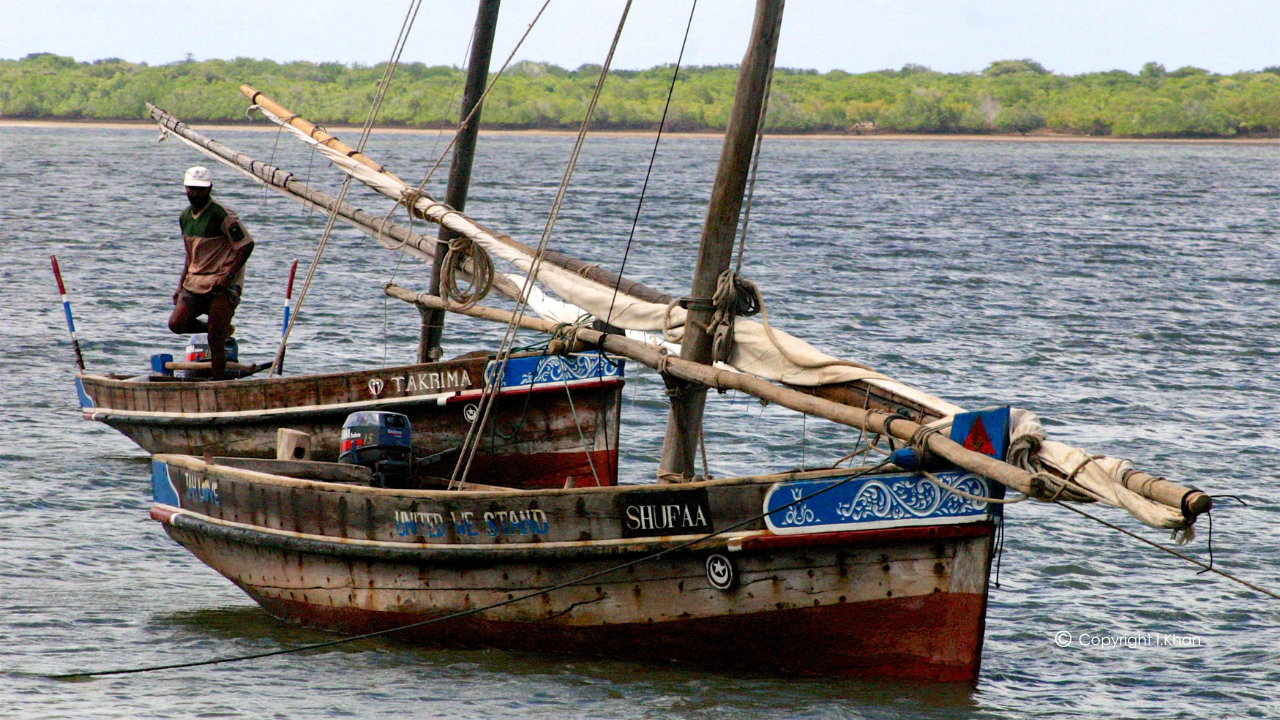 The entire Privatisation Act, 2023 is unconstituti...